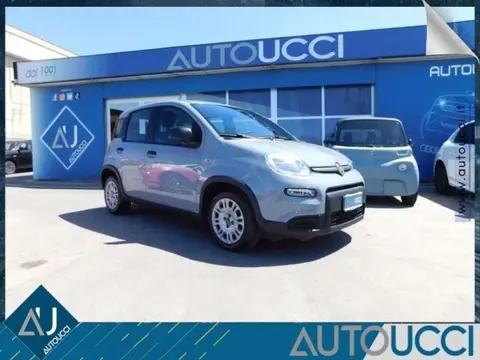 Used FIAT PANDA Hybrid 2022 Ad 