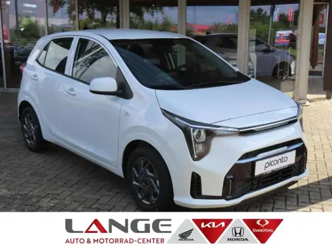 Used KIA PICANTO Petrol 2024 Ad 