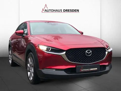 Annonce MAZDA CX-30 Essence 2021 d'occasion 