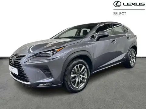 Used LEXUS NX Hybrid 2021 Ad 