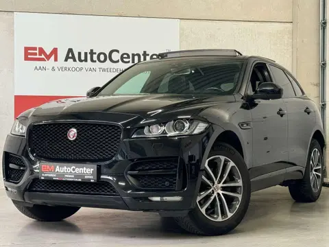 Used JAGUAR F-PACE Diesel 2018 Ad 