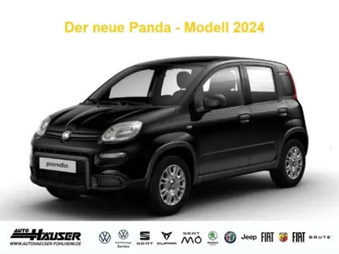 Used FIAT PANDA Petrol 2024 Ad 