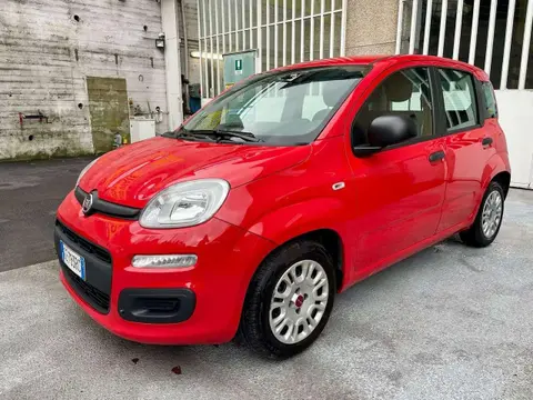 Used FIAT PANDA Hybrid 2021 Ad 