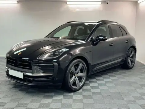 Used PORSCHE MACAN Petrol 2024 Ad 