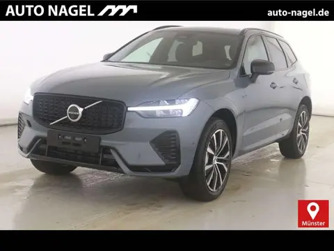 Annonce VOLVO XC60 Essence 2024 d'occasion 