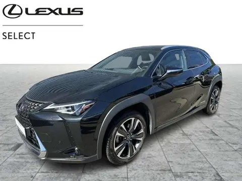 Used LEXUS UX Hybrid 2021 Ad 