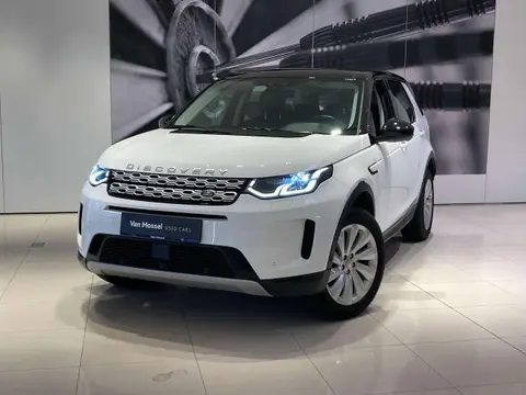 Used LAND ROVER DISCOVERY Petrol 2020 Ad 