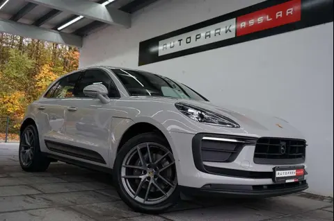 Used PORSCHE MACAN Petrol 2023 Ad 