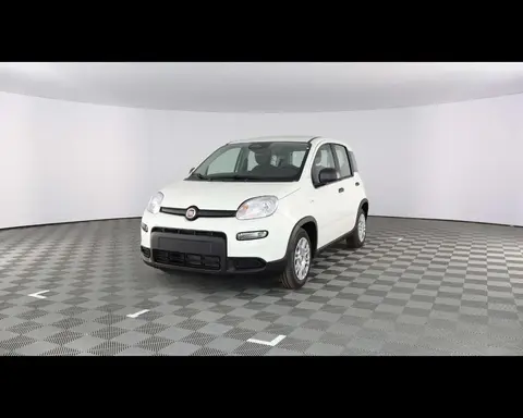 Used FIAT PANDA Hybrid 2024 Ad 