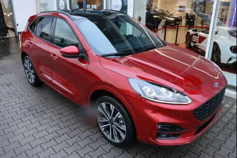 Annonce FORD KUGA Hybride 2024 d'occasion 