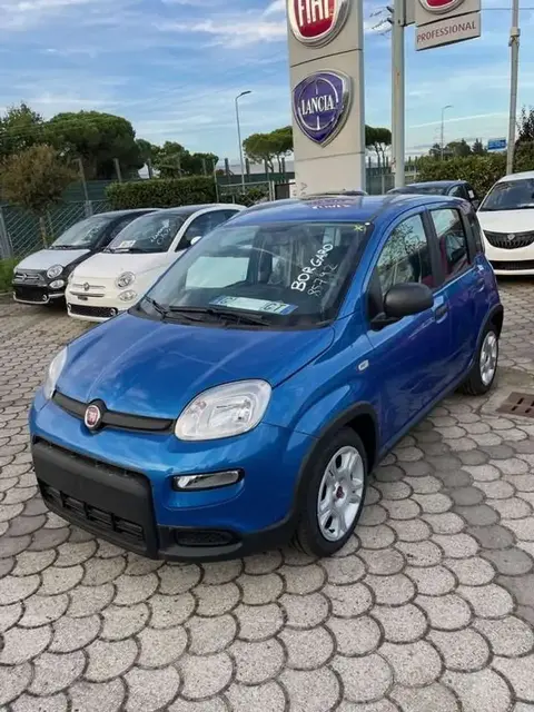 Used FIAT PANDA Hybrid 2024 Ad 