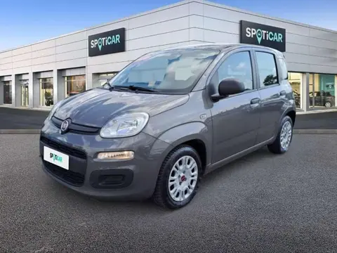 Used FIAT PANDA Petrol 2020 Ad 