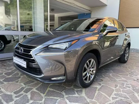 Used LEXUS NX Hybrid 2016 Ad 