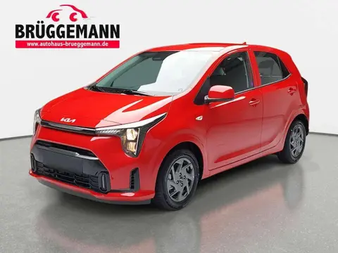 Annonce KIA PICANTO Essence 2024 d'occasion 