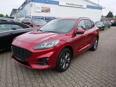 Annonce FORD KUGA Hybride 2023 d'occasion 