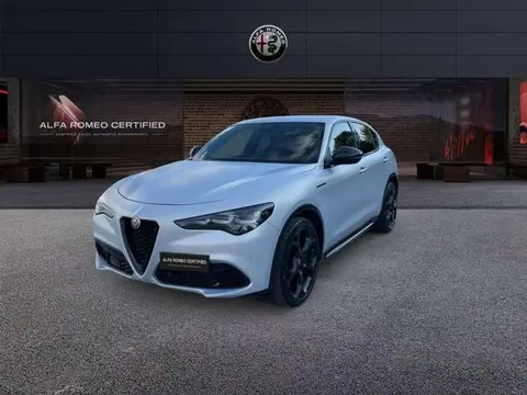 Annonce ALFA ROMEO STELVIO Diesel 2023 d'occasion 