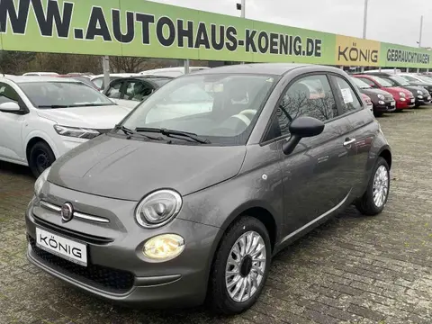 Used FIAT 500 Petrol 2023 Ad 