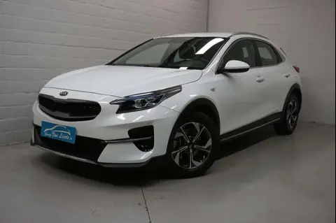 Used KIA XCEED Petrol 2021 Ad Belgium