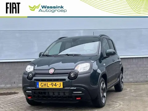 Used FIAT PANDA Hybrid 2024 Ad 