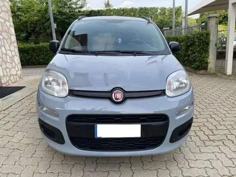 Annonce FIAT PANDA Essence 2019 d'occasion 