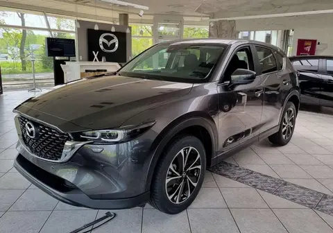 Used MAZDA CX-5 Petrol 2023 Ad 