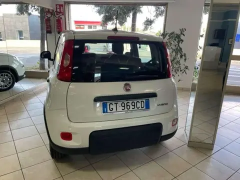 Used FIAT PANDA Hybrid 2024 Ad 