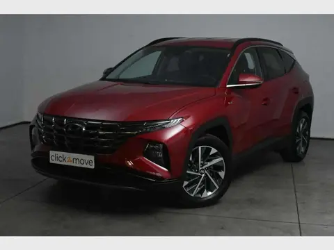 Used HYUNDAI TUCSON Petrol 2023 Ad 