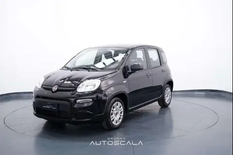 Used FIAT PANDA Hybrid 2024 Ad 