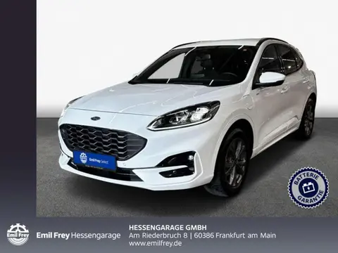 Used FORD KUGA Hybrid 2022 Ad 