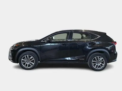 Used LEXUS NX Hybrid 2020 Ad 