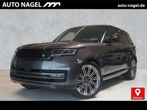 Annonce LAND ROVER RANGE ROVER Diesel 2024 d'occasion 