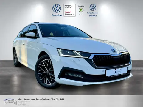 Annonce SKODA OCTAVIA Diesel 2020 d'occasion 