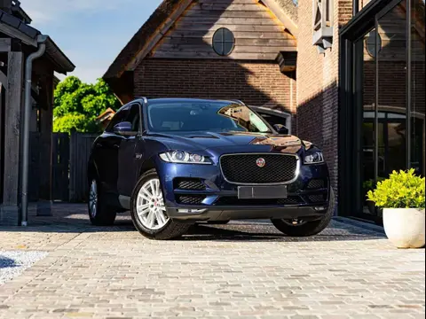 Used JAGUAR F-PACE Diesel 2018 Ad 