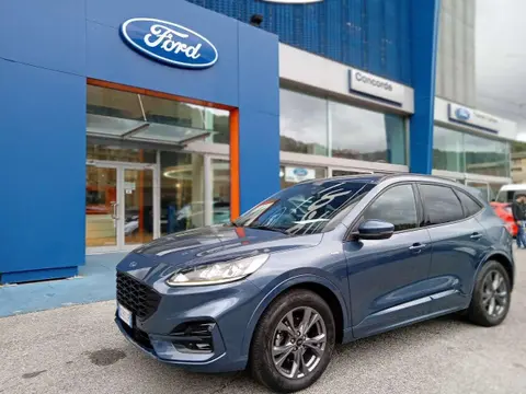 Used FORD KUGA Diesel 2021 Ad 