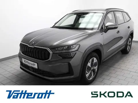 Used SKODA KODIAQ Diesel 2024 Ad Germany