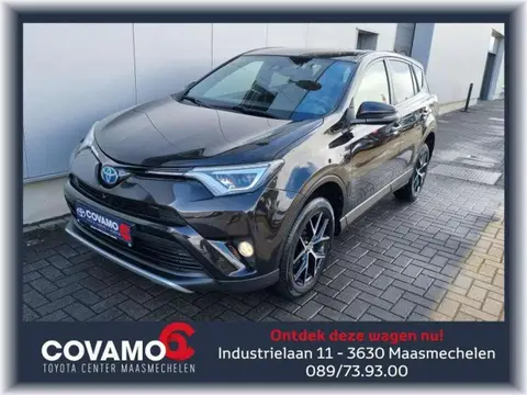 Used TOYOTA RAV4 Hybrid 2016 Ad 