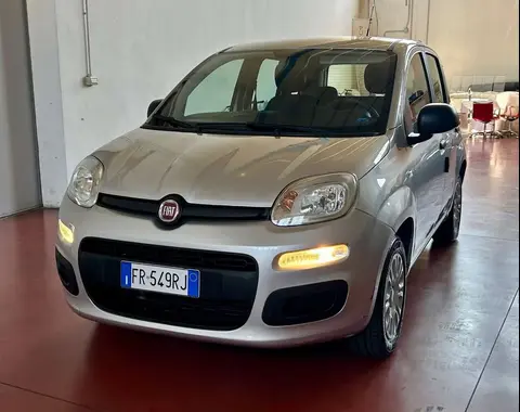 Used FIAT PANDA Petrol 2018 Ad 