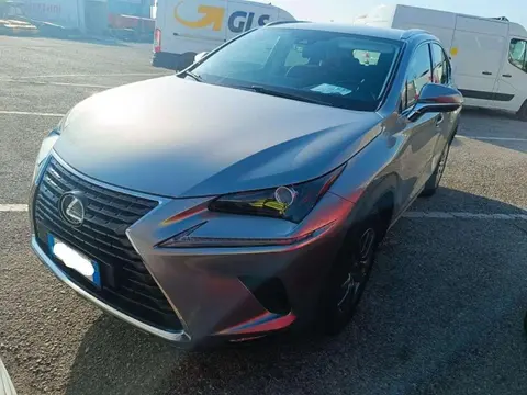 Annonce LEXUS NX Hybride 2021 d'occasion 