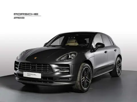 Used PORSCHE MACAN Petrol 2020 Ad 