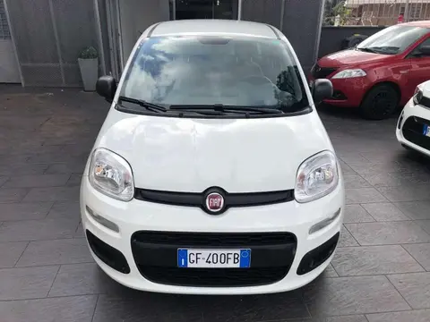 Annonce FIAT PANDA Hybride 2021 d'occasion 