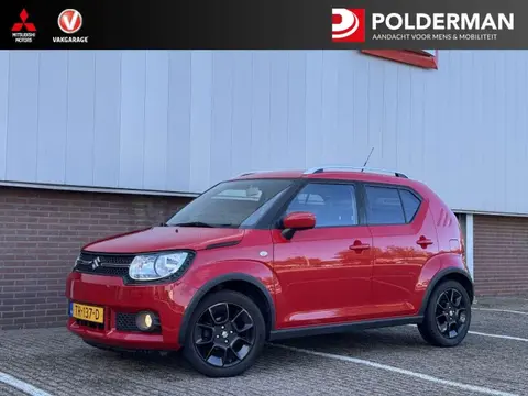 Used SUZUKI IGNIS Petrol 2018 Ad 