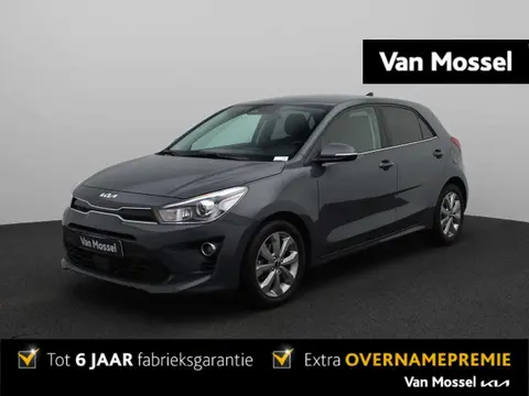 Used KIA RIO Petrol 2022 Ad 