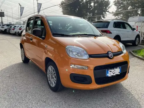 Annonce FIAT PANDA Hybride 2021 d'occasion 