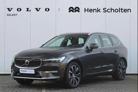 Used VOLVO XC60 Hybrid 2023 Ad 