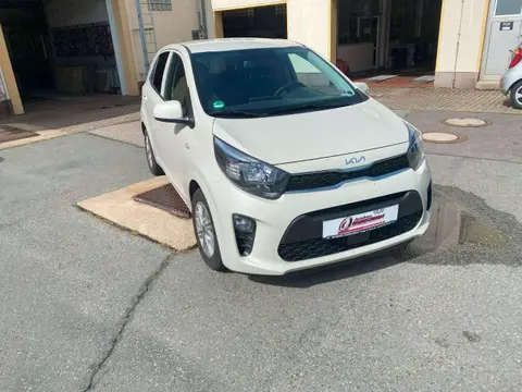 Used KIA PICANTO Petrol 2023 Ad 