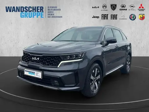 Annonce KIA SORENTO Diesel 2022 d'occasion 