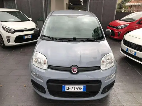 Used FIAT PANDA Hybrid 2021 Ad 