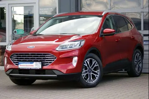 Annonce FORD KUGA Hybride 2021 d'occasion 