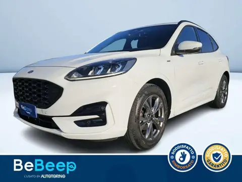 Used FORD KUGA Diesel 2021 Ad 