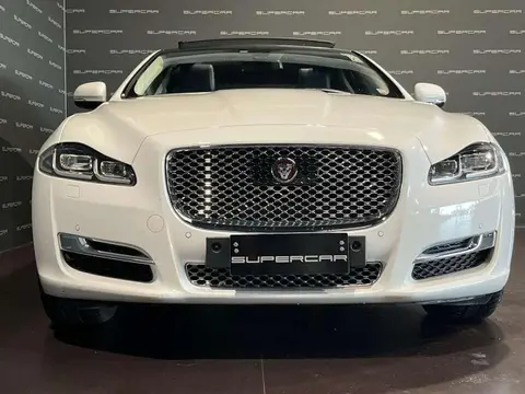 Used JAGUAR XJ Diesel 2017 Ad 